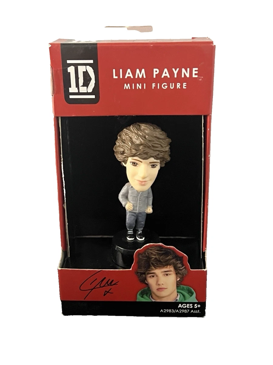 One Direction Music Action Figures 2012 Year Manufactured for sale