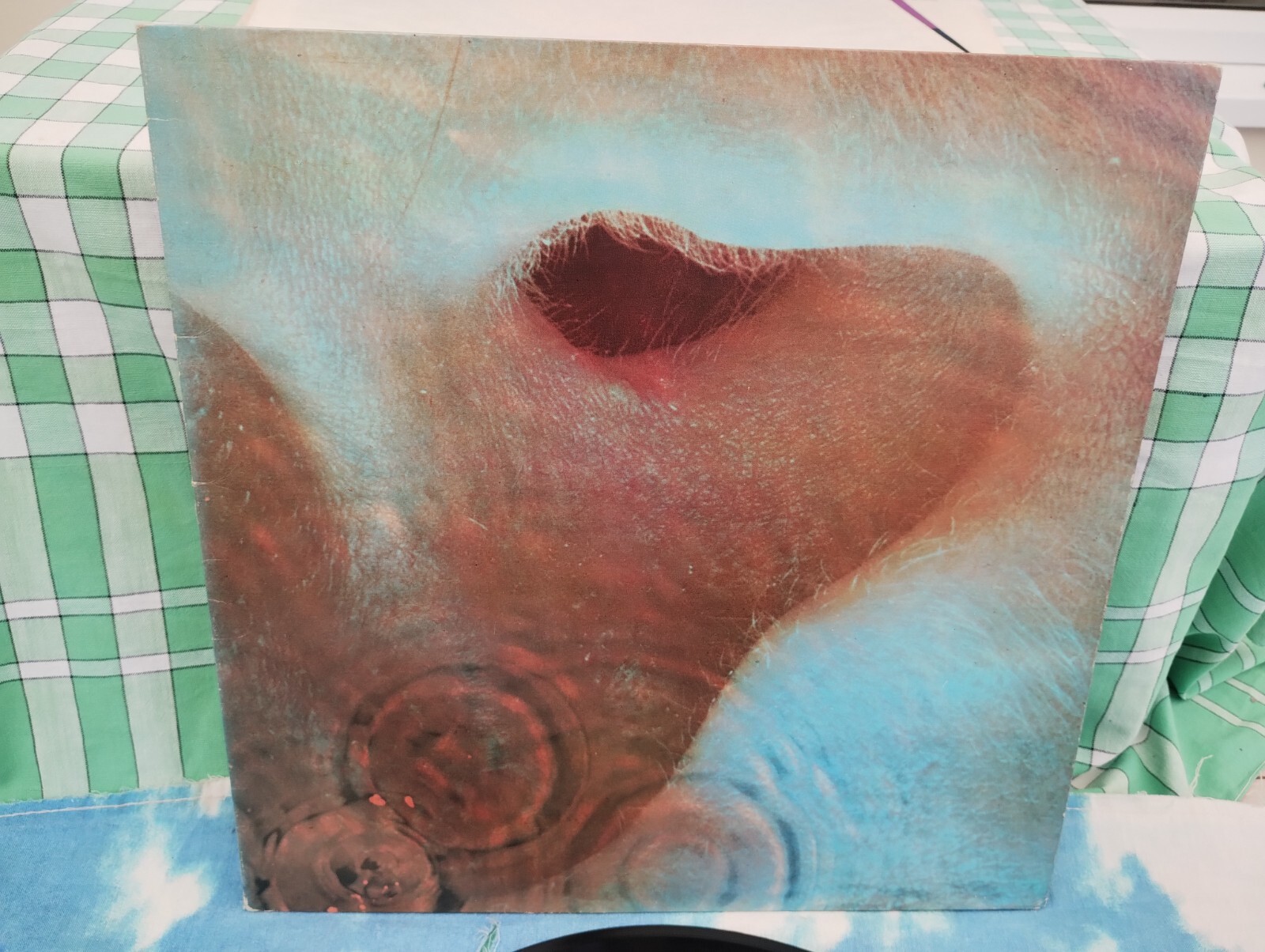 Picture 2 of 12
