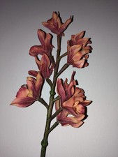 Artificial Cymbidium Stem