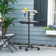 Bird Play Stand, Portable Parrot Perch, Bird Feeder Station, Grey