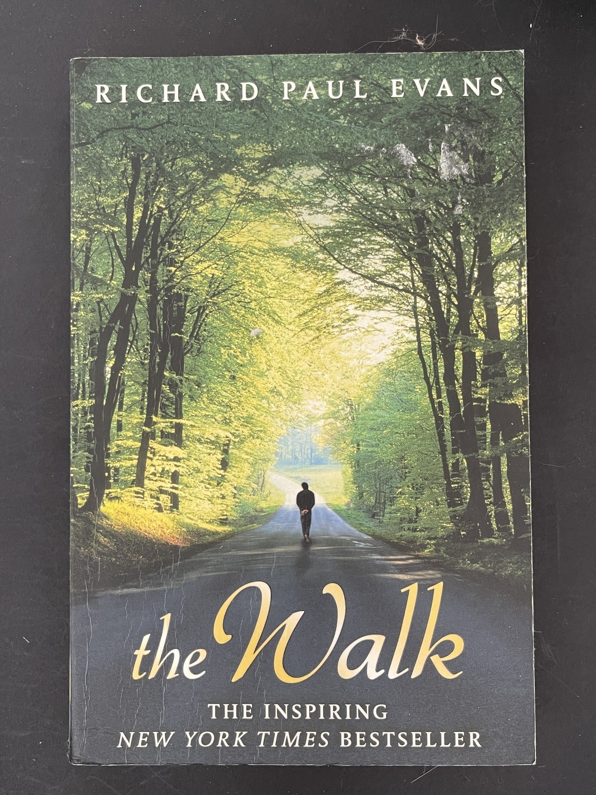 Richard Paul Evans The Walk Trade Paperback 2011 Inspiring Journey
