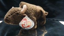 TY Beanie Babies 1998 Roam the Buffalo w/ All Tags  Tag Cover