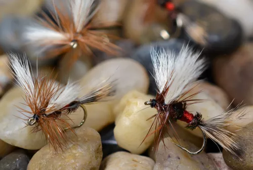 12 Flies - Royal Wulff Dry Fly - Mustad Signature Fly Fishing Hooks