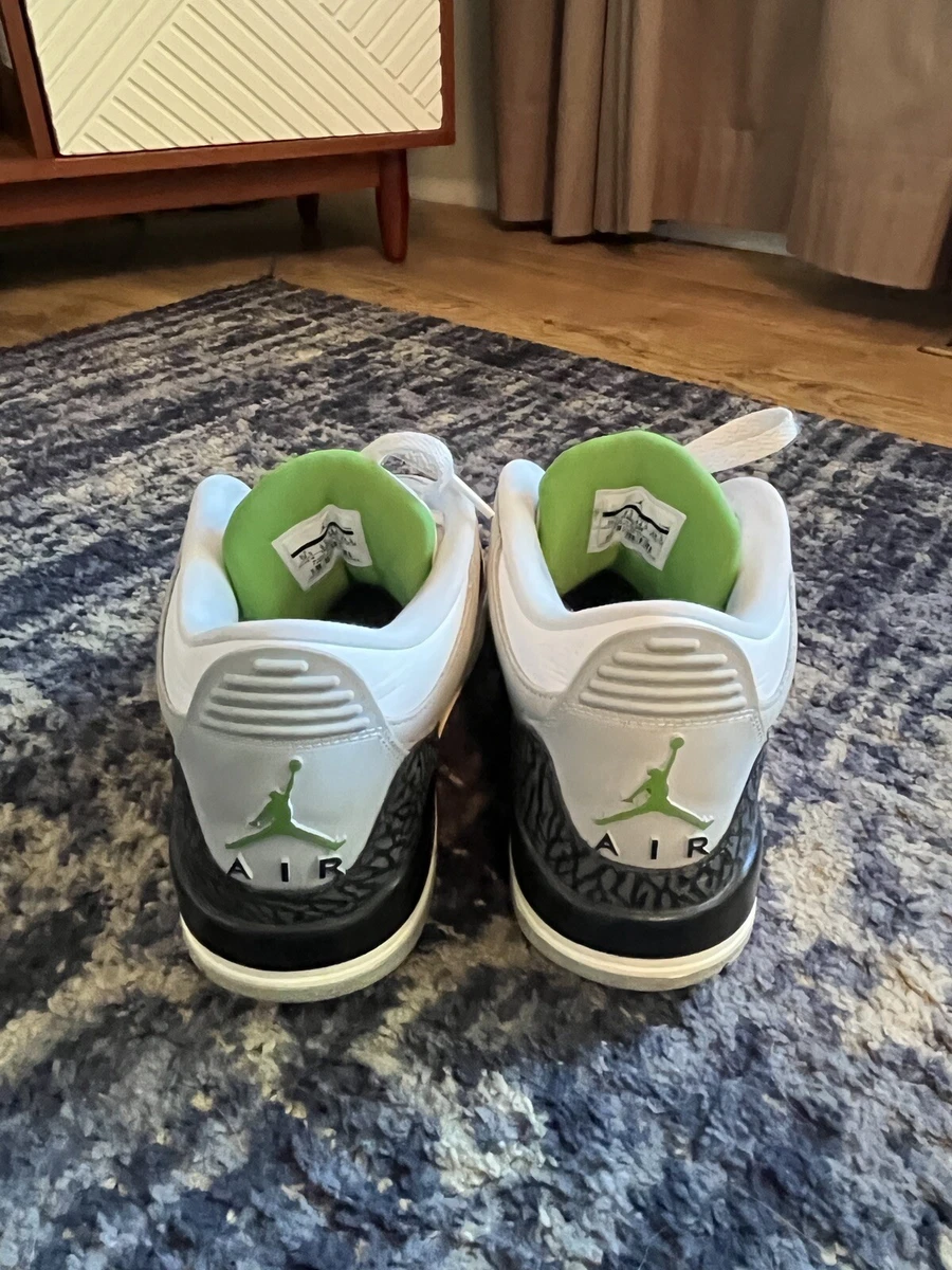 Jordan 3 retro chlorophyll men's shoe 2025