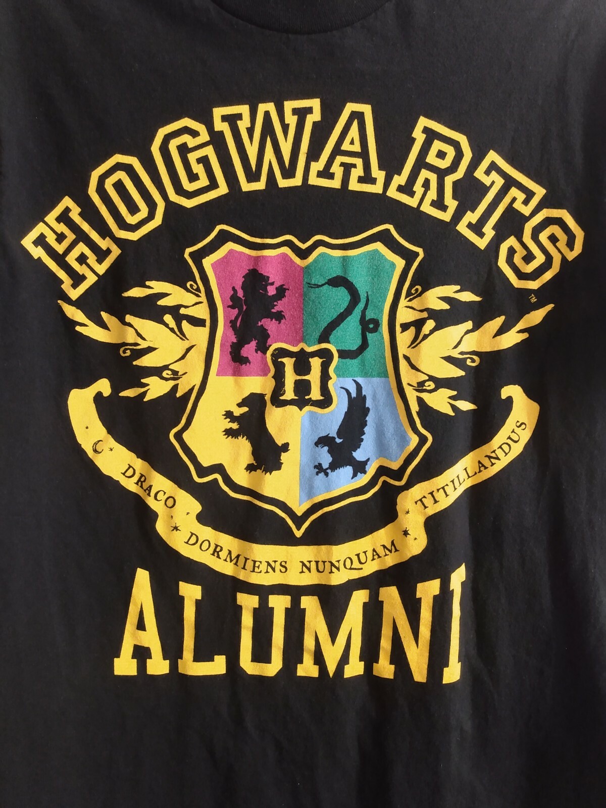 Hogwarts Alumni TShirt Official Harry Potter Short… Gem