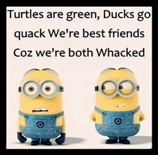 Turtles Are Green Ducks Go Quack Best Friends Whacked  MAGNET