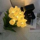 Foto 10 di 22