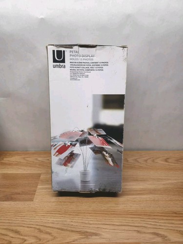 Umbra PETAL Photo Display Designed by Tom Vincent Stylish Interior Decoration - Picture 3 of 6