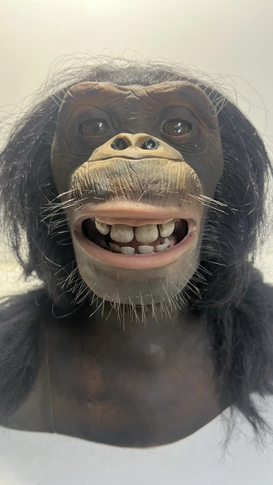 Alive RC Chimp Head Model 9001B 27MHz w/Remote Nose No Light Dirty Antenna - Image 4 of 4