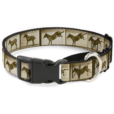 Plastic Martingale Collar Bucking Donkey Vintage Film Strip Medium 1 (US IMPORT)