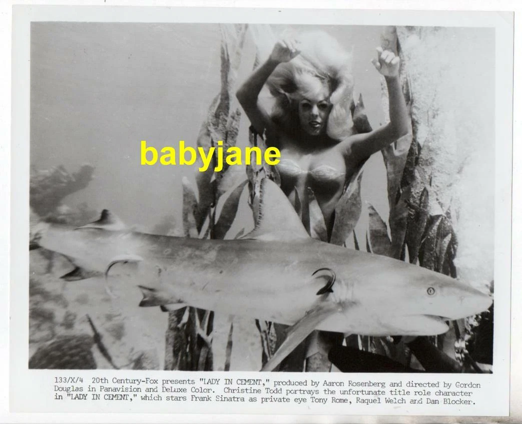 CHRISTINE TODD ORIG 8X10 PHOTO DEAD GIRL IN WATER SEMI NUDE LADY IN CEMENT  1968 | eBay