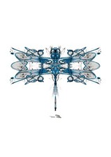 ORIGINALDRUCK - DRAGONFLY - MODERNE WANDKUNST - ZEITGENÖSSISCHES ABSTRAKTES BILD