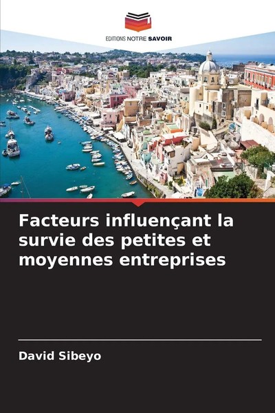 David Sibeyo | Facteurs InfluençAnt La Survie Des Petites Et Moyennes...-image