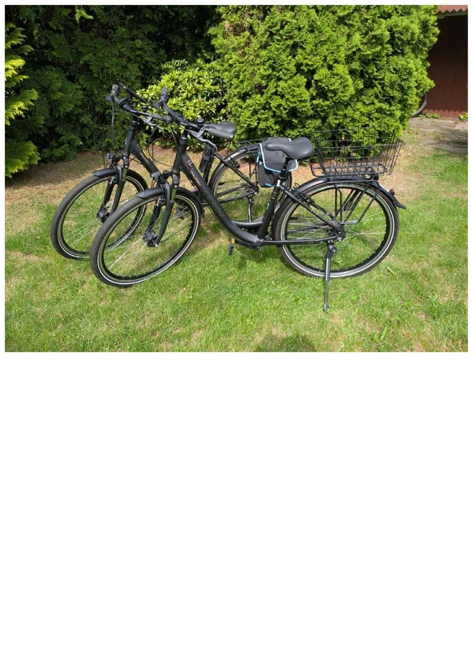 2 Partner-Fahrräder Marke Raleigh, 8-Gang, 28 Zoll