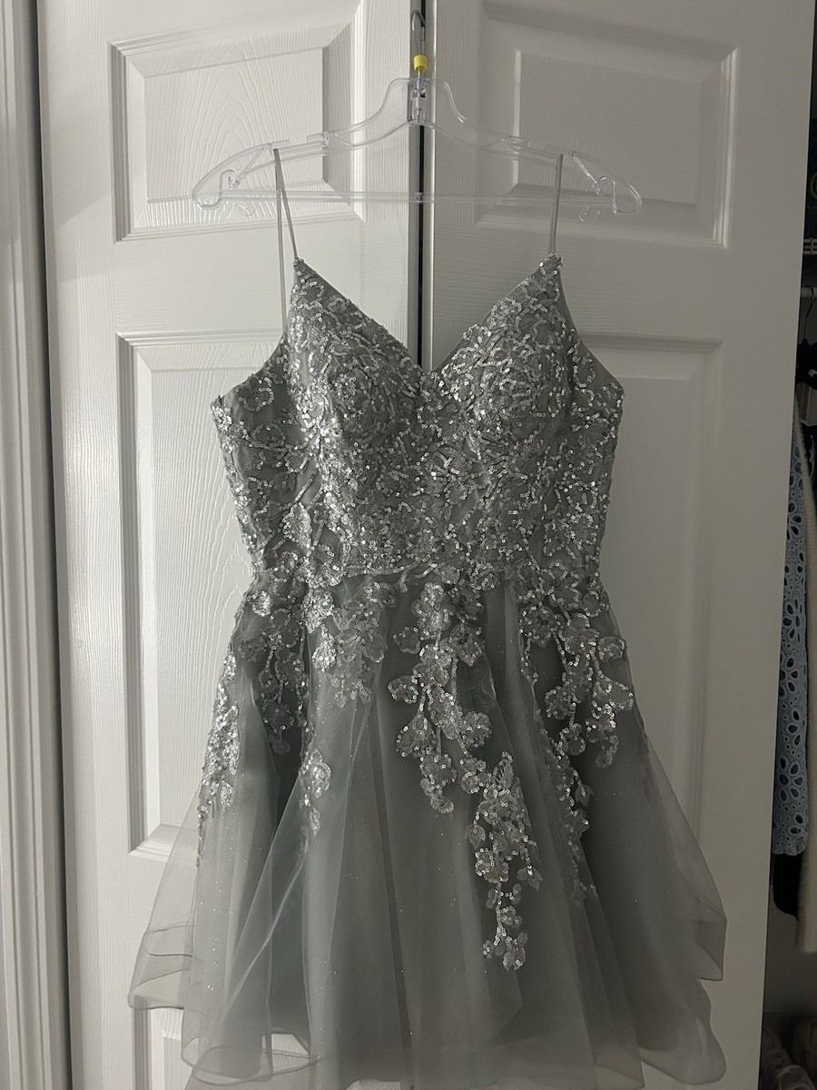 Glittery  sliver glittery dress