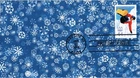 DR JIM STAMPS US COVER WINTER OLYMPICS VANCOUVER SNOWBOARDING FDC HAND MADE
