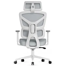 4 Position Adjustable Ergonomic Office Chair with Armrests Lumbar Support