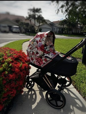 cybex Carriage Stroller Black Floral Single Hood Canopy Infant