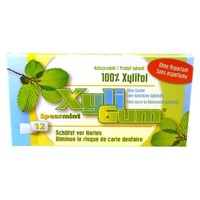 Kaugummi - Spearmint 16,8G | Xyli Gum