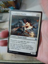 MTG - Twinblade Paladin - Foundations - U 0503