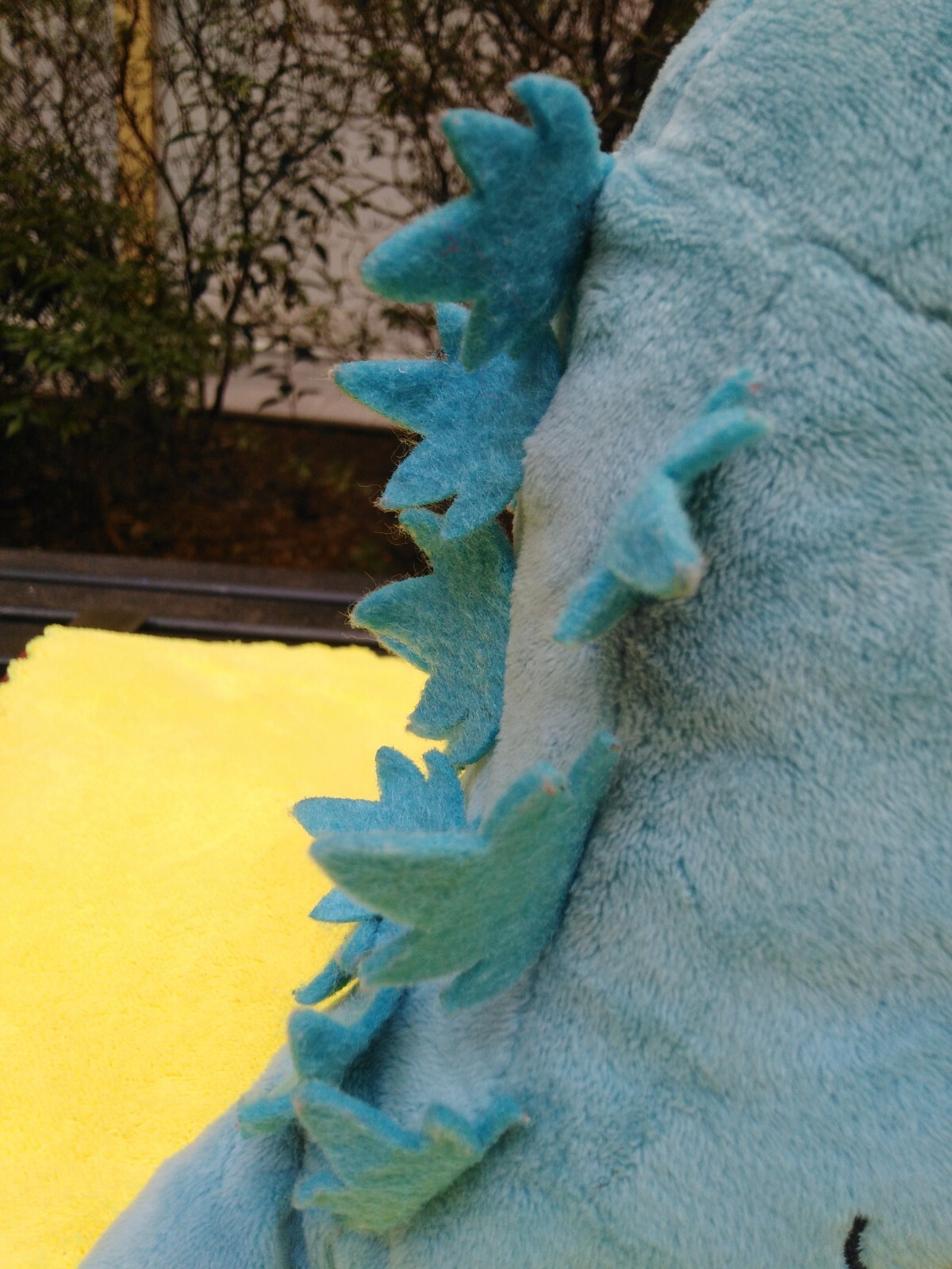 Picture 6 of 9