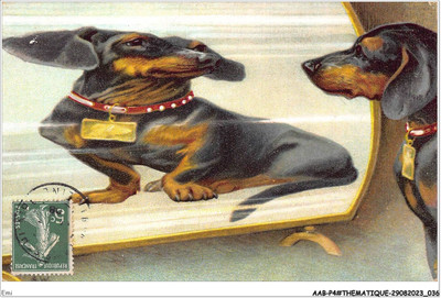 EMI-AABP4-0210-HUND - der Dackelspiegel