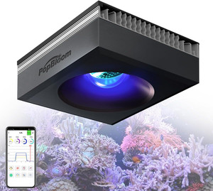 Red Sea Reef Led 90 | eBay