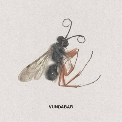 Vundabar Good Old (Vinyl) 12'' Album Coloured Vinyl