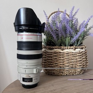 Canon EF 28-300mm F3.5-5.6 L IS USM lens