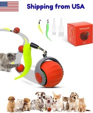 Interactive Cat Ball Speedy Tail 3.0 Rolling Toy - Indoor Play, Motion Activated