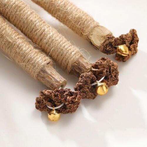 Dacitiery Silvervine Chew Sticks Cat Toys, Natural Nip Teeth Cat M2K7 - Foto 7 di 17