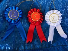 3 Pcs Award Set Rosette Prize Ribbon 1st 2nd 3rd Recognition for Competitions.
