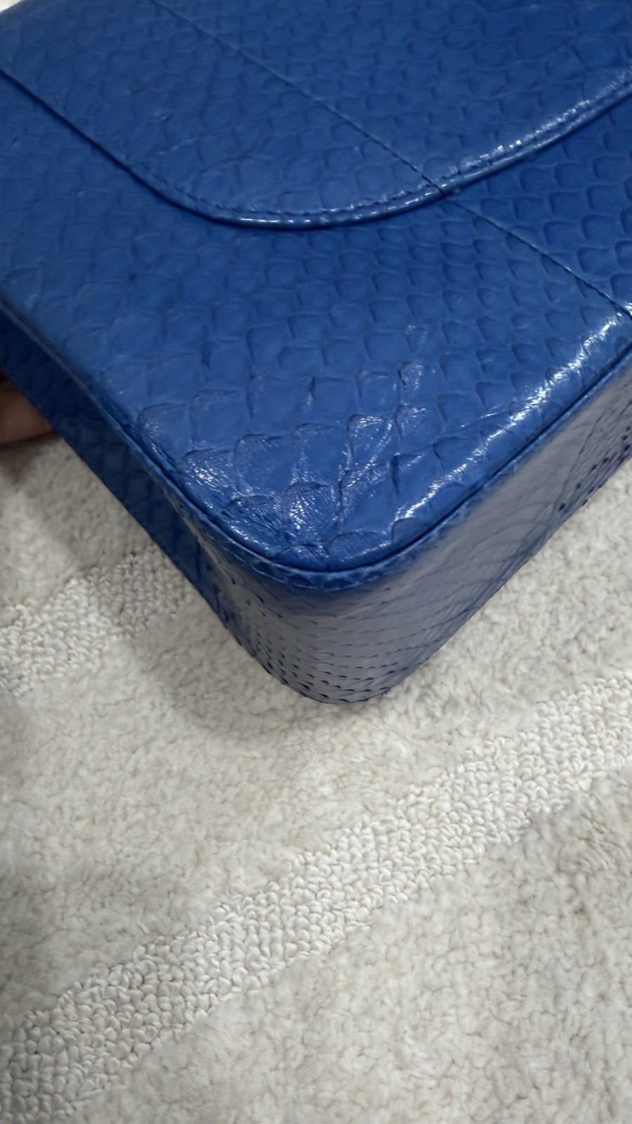 Chanel Python Double Jumbo Flap - image 11