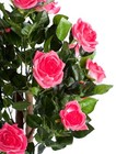 Bild 17 von 30