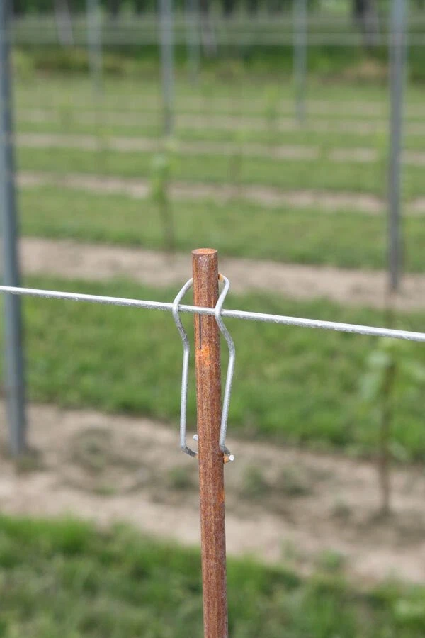 FILO FERRO ZINCATO CAVO LEGATURE TENSIONE PALI RETE 100 MT Ø 1,5-1,8-2-2,7-3,5 - Immagine 4 di 4