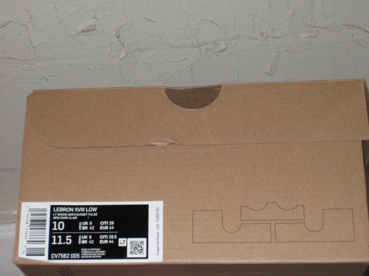 Nike LeBron XVIII 18 Low Bugs Vs Marvin Space Jam Men's Size 10