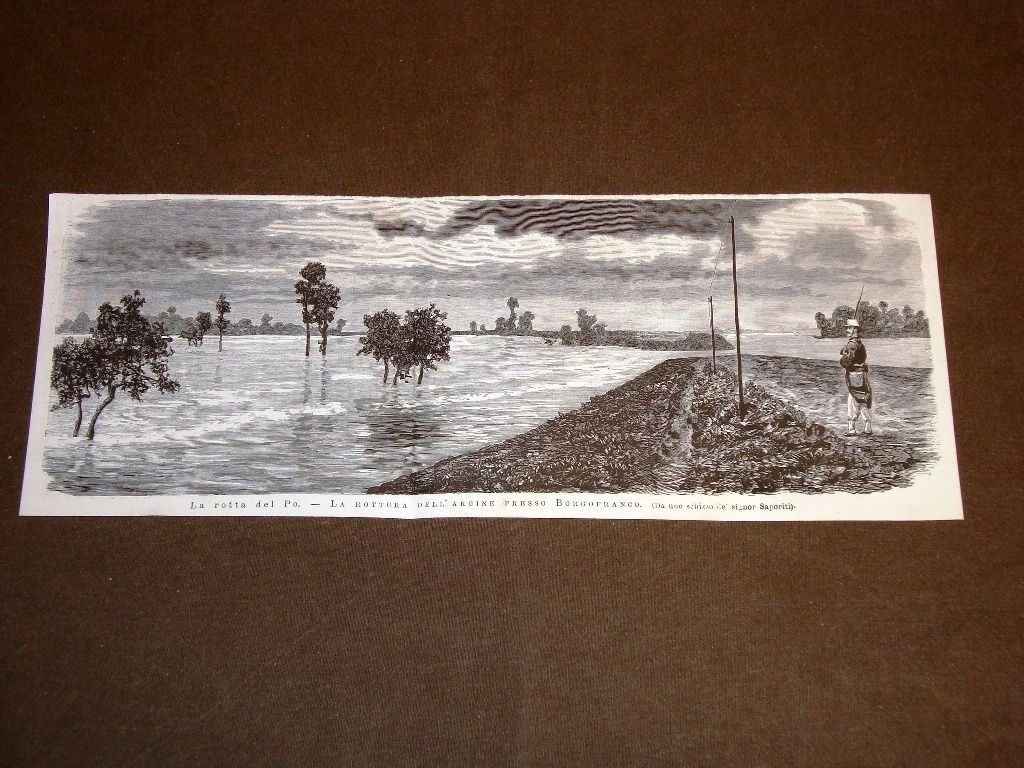 Picture 1 of 1