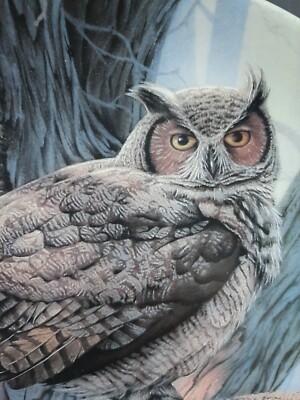 Owl Collector Plate 1988 The Great Horned Owl By Daniel Smith | eBay