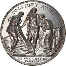 [#8856] France, Medal, Louis XVI, Fête des Bonnes Gens, Le Bon Chef de Famille