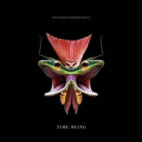 Tony Buck and Massimo Pupillo Time Being LP Vinyl TR179LP NEW