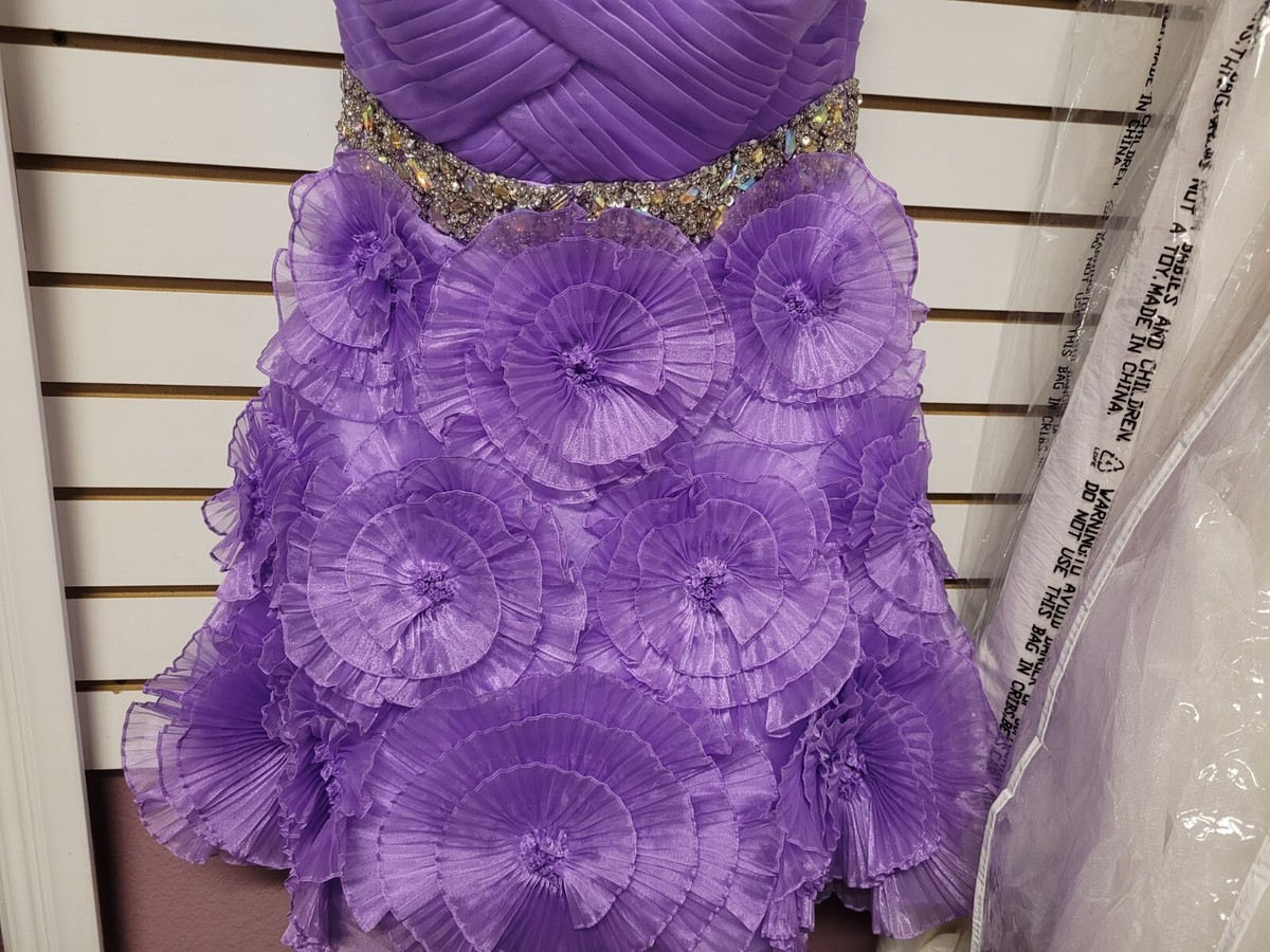 cinderella purple prom dress Ladivine CD0198