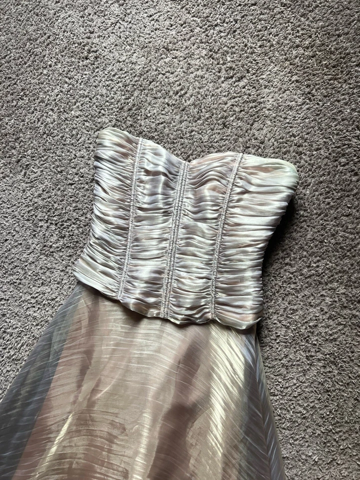 Vtg Jessica McClintock Cache Dress Sz 6 Iridescent Champagne Corset Ball Gown - Image 3 of 4