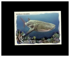 2021 Topps Allen & Ginter Deep Sea Shiver #DSS-9 Whale Shark