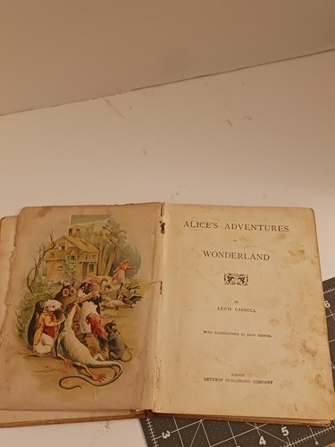 ALICE'S ADVENTURES in WONDERLAND 1905 Illustrated John TeNniel LOTHROP PUBLISH - Picture 14 of 19