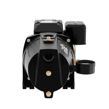 K2 Pumps Shallow Well Jet Pump 3/4 Hp Lead Free Cast Iron 115/230V