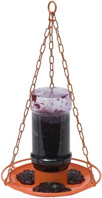 Perky-Pet Oriole 32 oz. Plastic Nectar Feeder 1 Ports