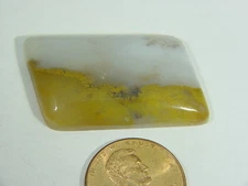 BUTW Polka Dot Jasper free form cabochon lapidary jewelry gemstone 7804B