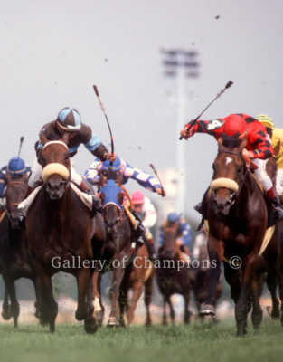 John Henry 1981 Arlington Million #2 Photo 8'' x 10 - 24'' x 30'' 