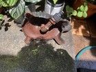 Picture 6 of 7