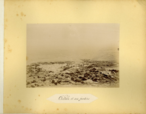 Algérie, Chellala et ses jardins  Vintage albumen print.  Tirage albuminé  1 - Photo 1/1